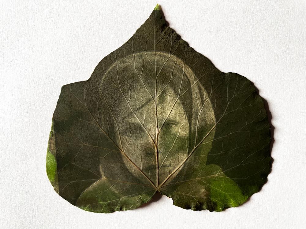 Reperi 2 - Les arbres se souviendront