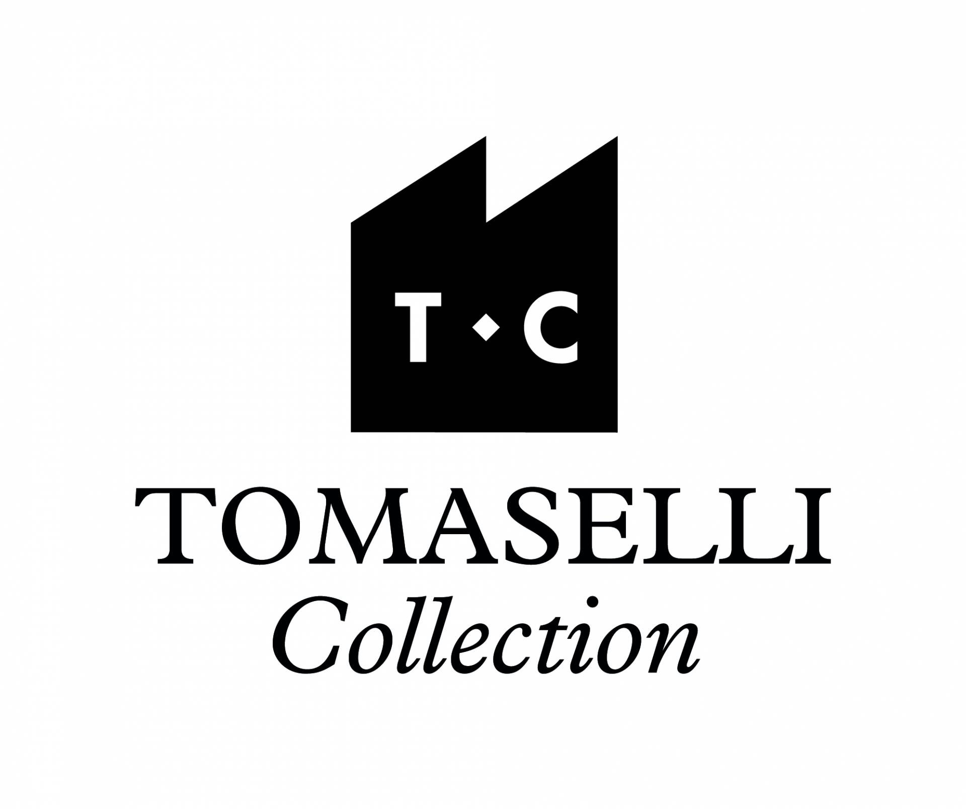 TOMASELLI COLLECTION – Biennale de Lyon