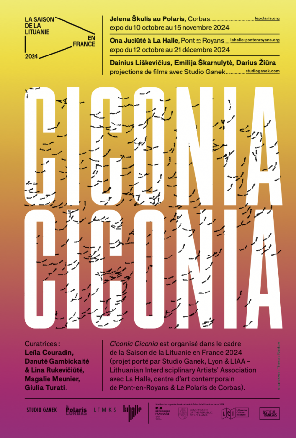 Take a Video Camera and Travel the World – Biennale de Lyon